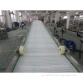 Food Grade Flex Belt Conveyor